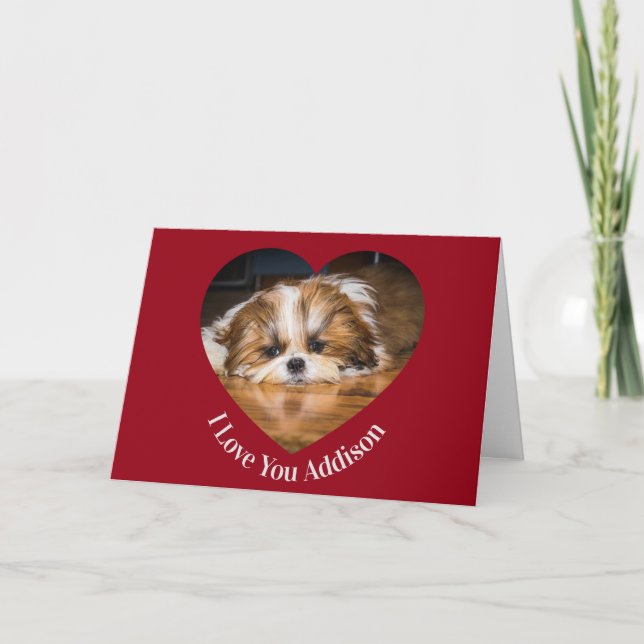 Cute shih tzu love Valentine heart photo Card (Front)