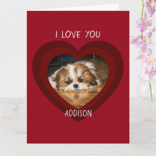 Cute shih tzu love Valentine heart photo Card