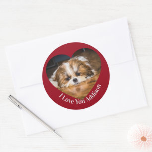 Cute shih tzu love Valentine heart photo Classic Round Sticker
