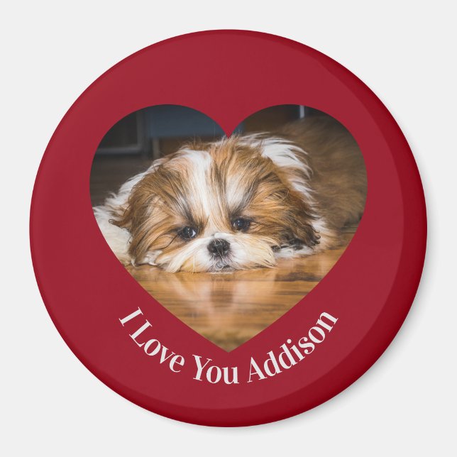 Cute shih tzu love Valentine heart photo Magnet (Front)