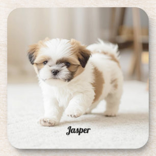 Cute Shih Tzu Personalised Beverage Coaster Set
