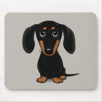Cute Short Haired Black and Tan Dachshund