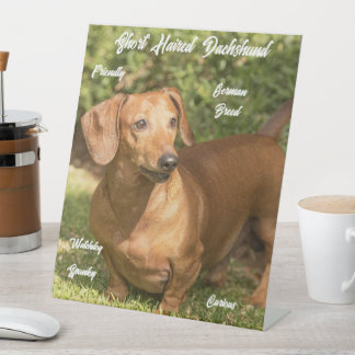 Cute Shorthaired Red Dachshund Pestastal Sign