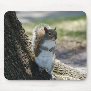Cute, Shy Squirrel mousepad