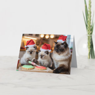 Cute Siamese Cat Christmas Cookie Card