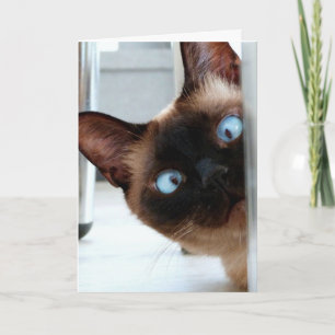 CUTE SIAMESE CAT HAPPY BIRTHDAY CARD
