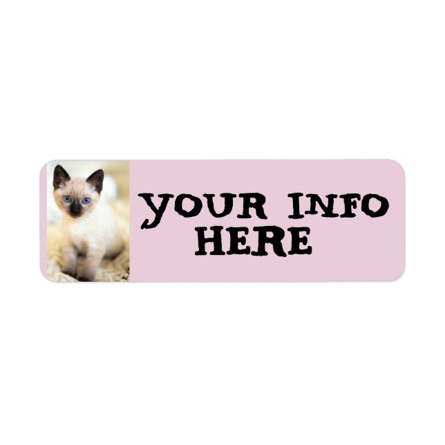 CUTE SIAMESE  CAT KITTEN RETURN ADDRESS LABELS (Front)