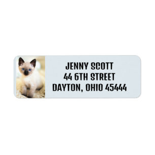 CUTE SIAMESE  CAT KITTEN RETURN ADDRESS LABELS