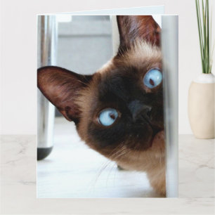 CUTE SIAMESE CAT PEEKING HAPPY BIRTHDAY! CARD