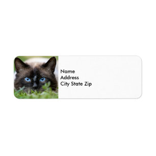 Cute Siamese Cat Photo Label