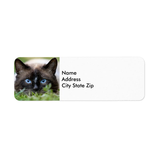 Cute Siamese Cat Photo Label (Front)