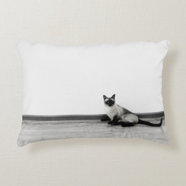 CUTE Siamese Cat Photograph Decorative Cushion (Front)
