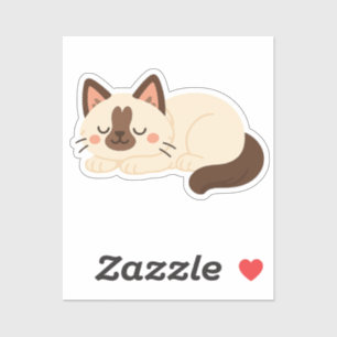 Cute Siamese Cat Sleeping