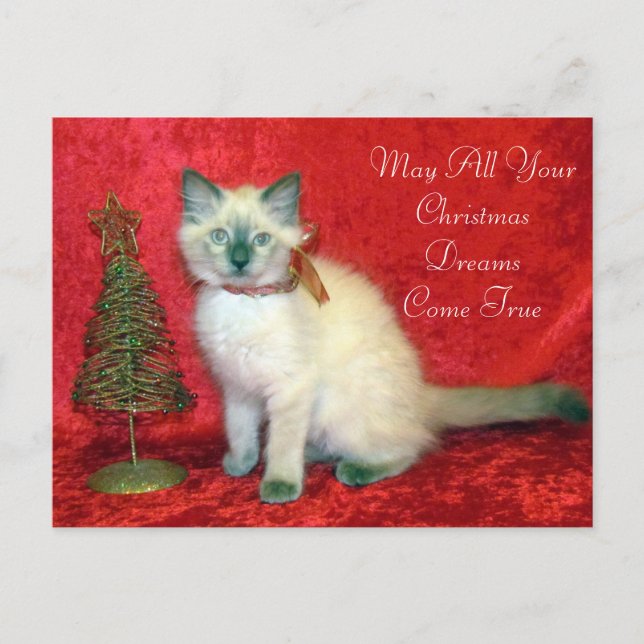 Cute Siamese Kitten Christmas Tree  Holiday Postcard (Front)