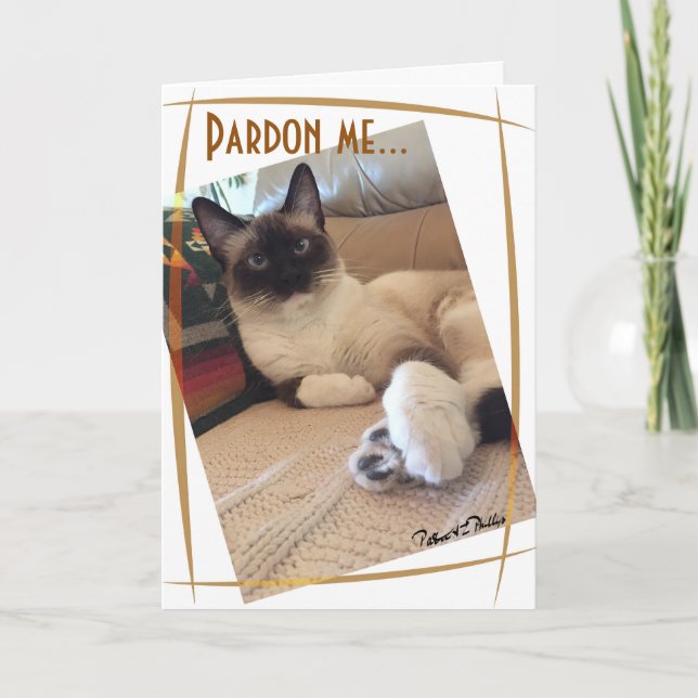 Cute Siamese Kitten Close-up Photograph Custom Card (Front)
