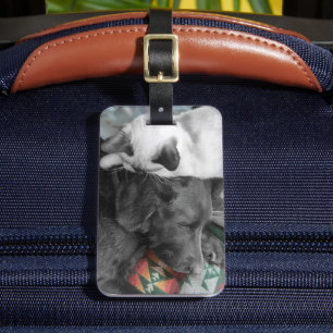 Cute Siamese Kitten Lies On Labrador's Head Luggage Tag