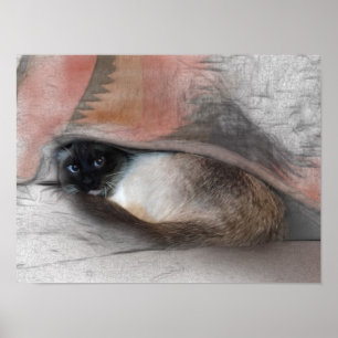 Cute Siamese Kitten Under A Blanket Sketch Poster