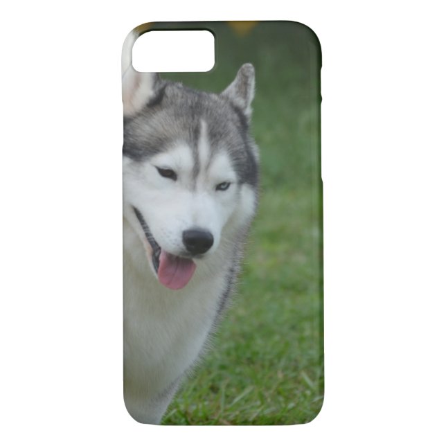 Cute Siberian Husky Case-Mate iPhone Case (Back)