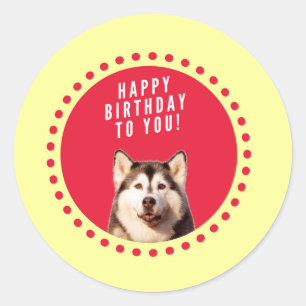 Cute Siberian Husky Dog Happy Birthday Classic Round Sticker