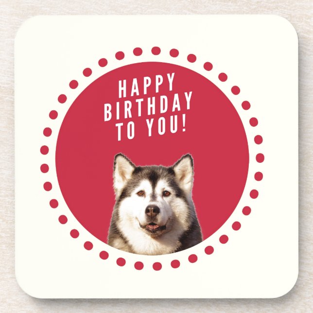 Cute Siberian Husky Dog Happy Birthday Coaster (Front)