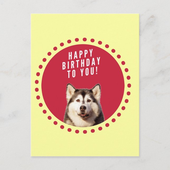 Cute Siberian Husky Dog Happy Birthday Postcard (Front)