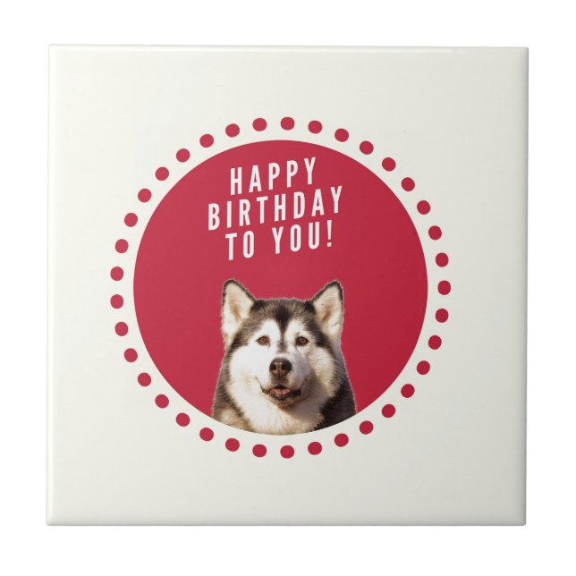 Cute Siberian Husky Dog Happy Birthday Tile (Front)