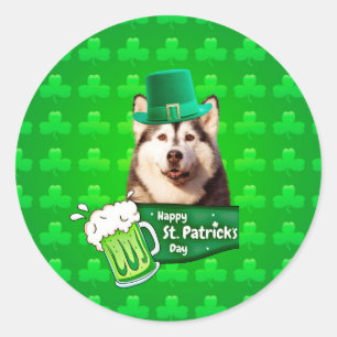 Cute Siberian Husky Dog Hat St. Patrick's Day Classic Round Sticker