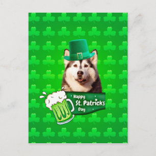 Cute Siberian Husky Dog Hat St. Patrick's Day Postcard