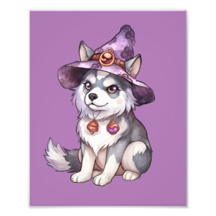 Cute Siberian Husky Dog in Witch Hat Photo Print