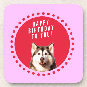 Cute Siberian Husky Dog Wishing Happy Birthday Coaster