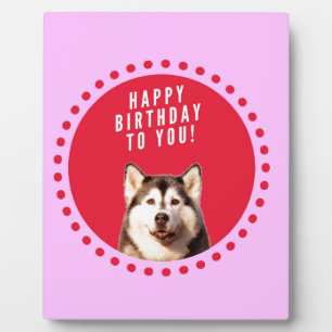 Cute Siberian Husky Dog Wishing Happy Birthday Plaque