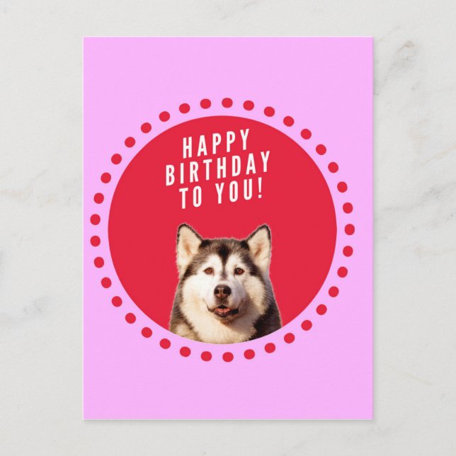 Cute Siberian Husky Dog Wishing Happy Birthday Postcard (Front)