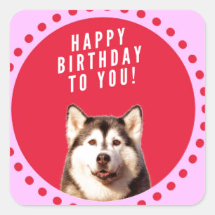 Cute Siberian Husky Dog Wishing Happy Birthday Square Sticker