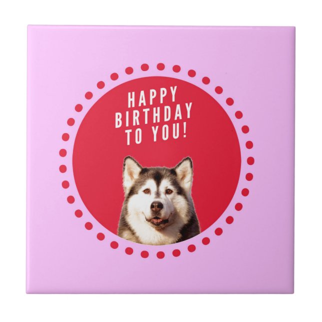 Cute Siberian Husky Dog Wishing Happy Birthday Tile (Front)