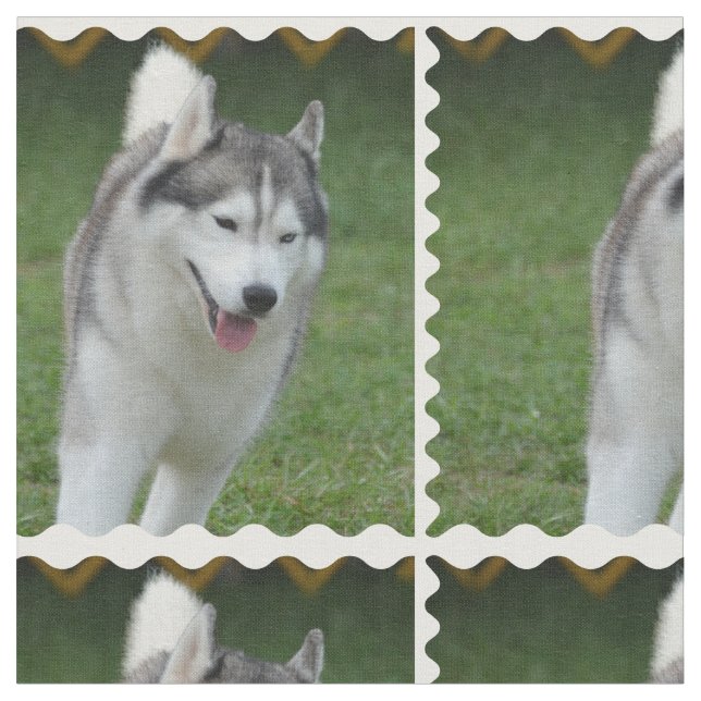 Cute Siberian Husky Fabric (Close Up)