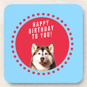 Cute Siberian Husky Happy Birthday blue red dots Coaster