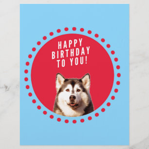 Cute Siberian Husky Happy Birthday blue red dots Custom Letterhead