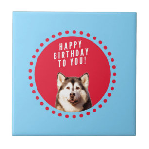 Cute Siberian Husky Happy Birthday blue red dots Tile