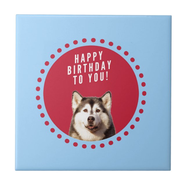 Cute Siberian Husky Happy Birthday blue red dots Tile (Front)