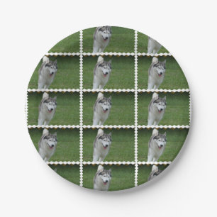 Cute Siberian Husky Paper Plate