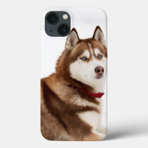 Cute Siberian Husky Portrait iPhone 13 Case