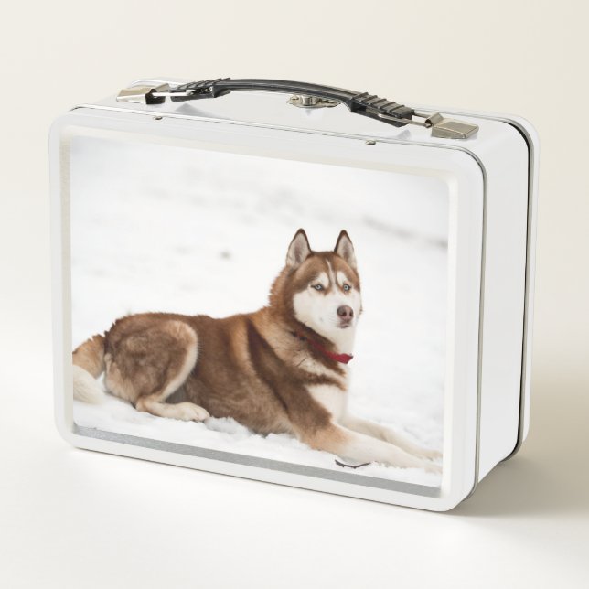 Cute Siberian Husky Portrait Metal Lunch Box (Back)