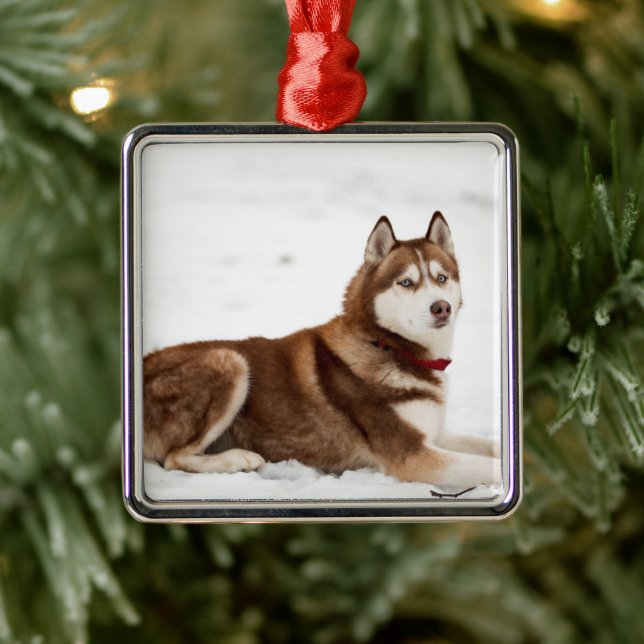 Cute Siberian Husky Portrait Metal Tree Decoration (Tree)