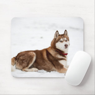 Cute Siberian Husky Portrait Mouse Mat