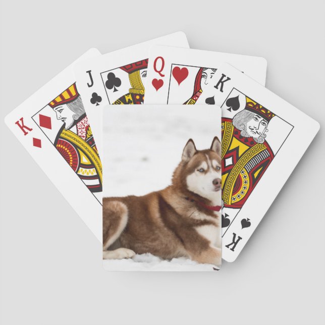 Cute Siberian Husky Portrait Playing Cards (Back)