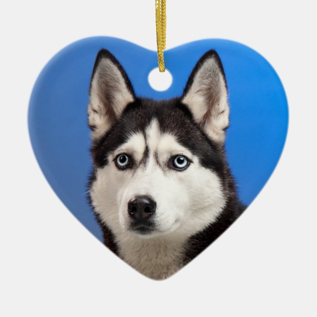Cute Siberian Husky Puppy Dog Ceramic Tree Decoration (Front)
