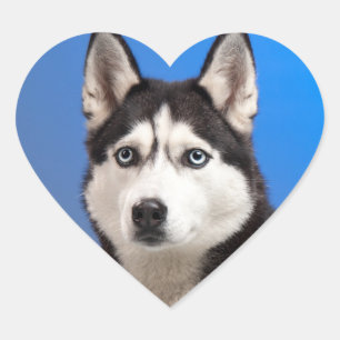 Cute Siberian Husky Puppy Dog Heart Sticker