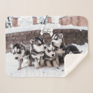 Cute Siberian Husky Puppy Dogs Blanket Name Bone