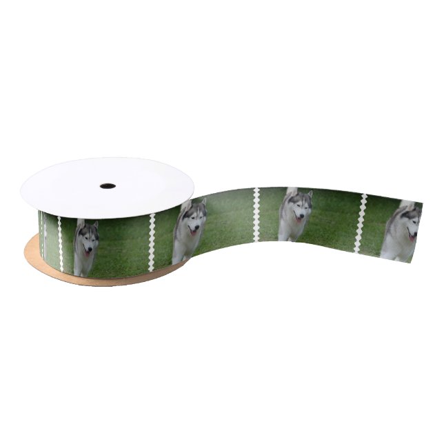 Cute Siberian Husky Satin Ribbon (Spool)