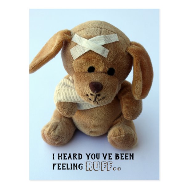 Sick Dog Get Well Cards - Well Wishes Cards | Zazzle.co.uk